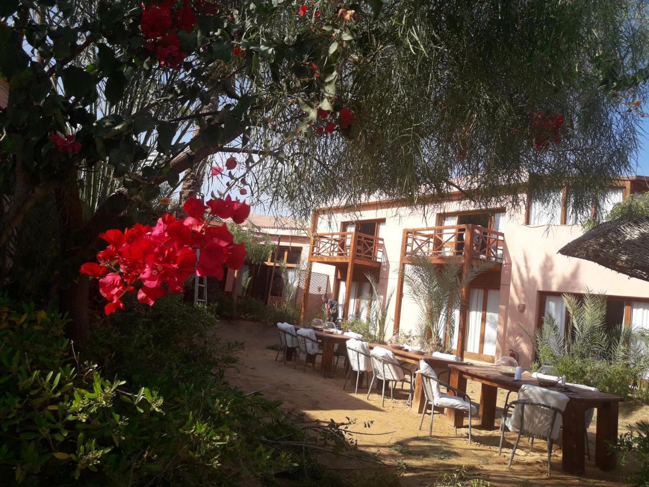 Nakhil Inn Nuweiba` Buitenkant foto